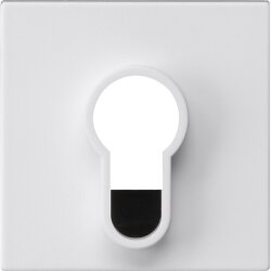 Gira Abdeckung 866427 Schlüsselschalter o.Aufd Sys55 rw