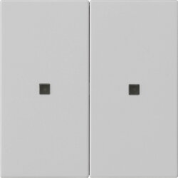 Gira Wippe 5369015 S3000 2f unbedruckt Sys 55 grau