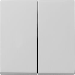 Gira Wippe 0295015 2f Sys 55 grau