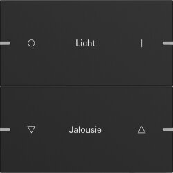 Gira Wippe 2f indiv. Tastsens.4 TS4 Schwarz