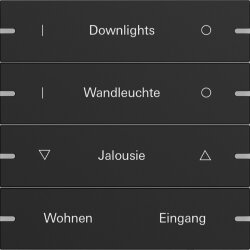 Gira Wippe 4f indiv. Tastsens.4 TS4 Schwarz