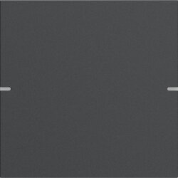 Gira Wippe 1f Tastsens.4 TS4 Anthrazit(lack.)