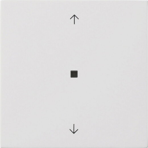 Gira Wippe 1f Pfeile Kontrollf. Flächenschalter rw