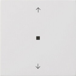 Gira Wippe 1f Pfeile Kontrollf. Flächenschalter rw