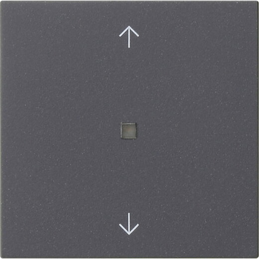 Gira Wippe 1f Pfeile Kontrollf. Sys 55 anthr.