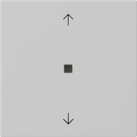 Gira Wippe 1f Pfeile Kontrollf. Sys 55 gr m