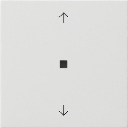 Gira Wippe 1f Pfeile Kontrollf. Sys 55 rw