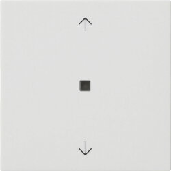 Gira Wippe 1f Pfeile Kontrollf. Sys 55 rw m