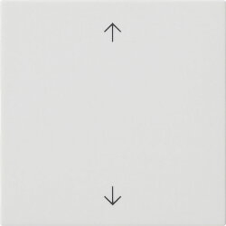 Gira Wippe 1f Pfeile Sys 55 rw m