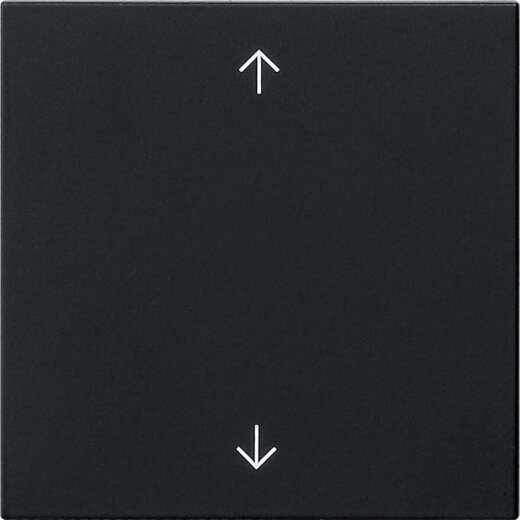 Gira Wippe 1f Pfeile Sys 55 sw m