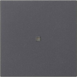 Gira Wippe 1f unbedruckt Kontrollf. Sys 55 anthr.