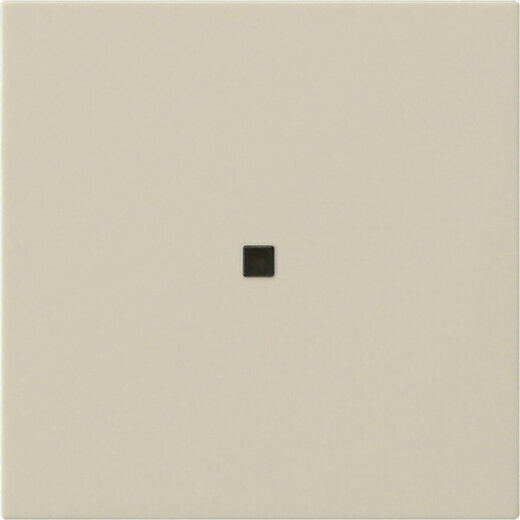 Gira Wippe 1f unbedruckt Kontrollf. Sys 55 cw