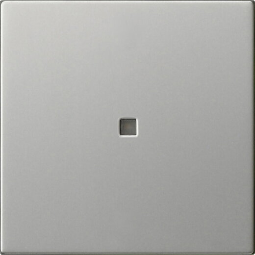 Gira Wippe 1f unbedruckt Kontrollf. Sys 55 es