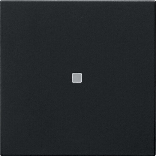 Gira Wippe 1f unbedruckt Kontrollf. Sys 55 sw m