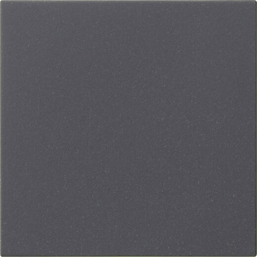 Gira Wippe 1f unbedruckt Sys 55 anthr.