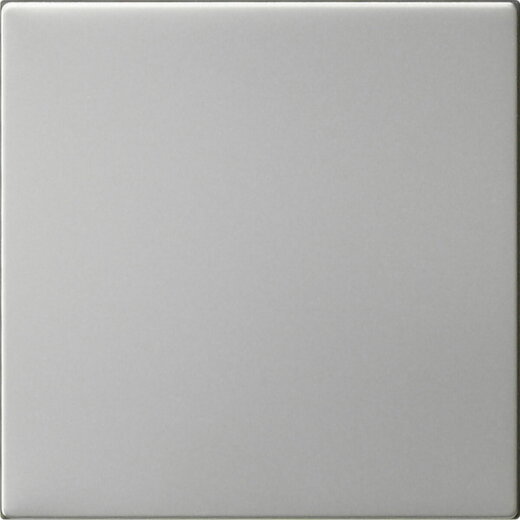 Gira Wippe 1f unbedruckt Sys 55 es