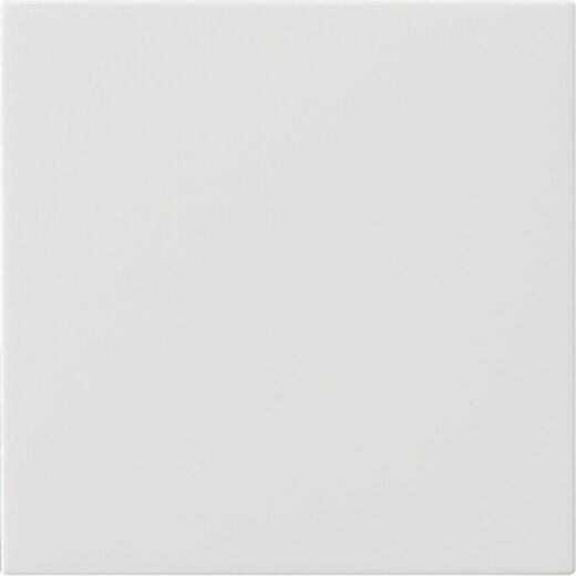 Gira Wippe 1f unbedruckt Sys 55 rw