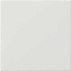 Gira Wippe 1f unbedruckt Sys 55 rw m