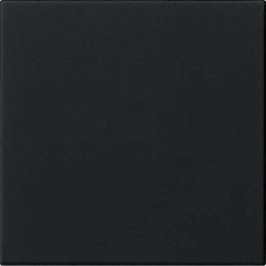 Gira Wippe 1f unbedruckt Sys 55 sw m