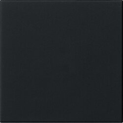 Gira Wippe 1f unbedruckt Sys 55 sw m