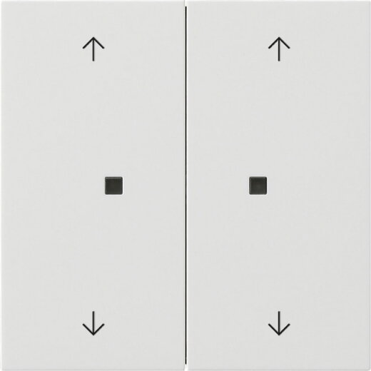 Gira Wippe 2f Pfeile Kontrollf. Flächenschalter rw