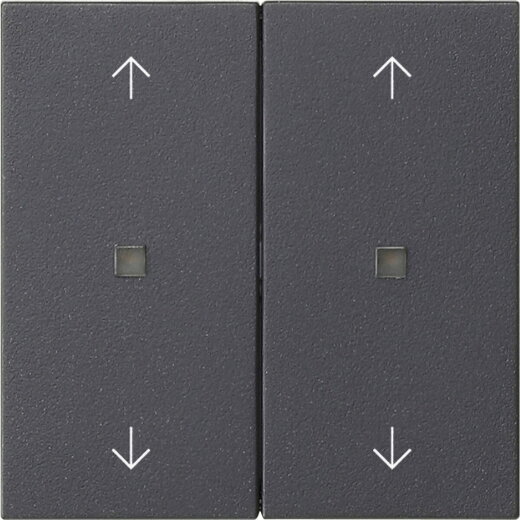 Gira Wippe 2f Pfeile Kontrollf. Sys 55 anthr.