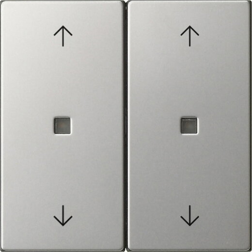 Gira Wippe 2f Pfeile Kontrollf. Sys 55 es