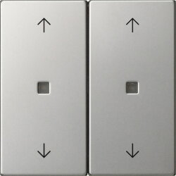 Gira Wippe 2f Pfeile Kontrollf. Sys 55 es