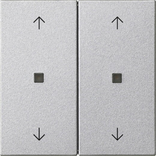 Gira Wippe 2f Pfeile Kontrollf. Sys 55 F alu