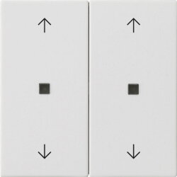 Gira Wippe 2f Pfeile Kontrollf. Sys 55 rw m