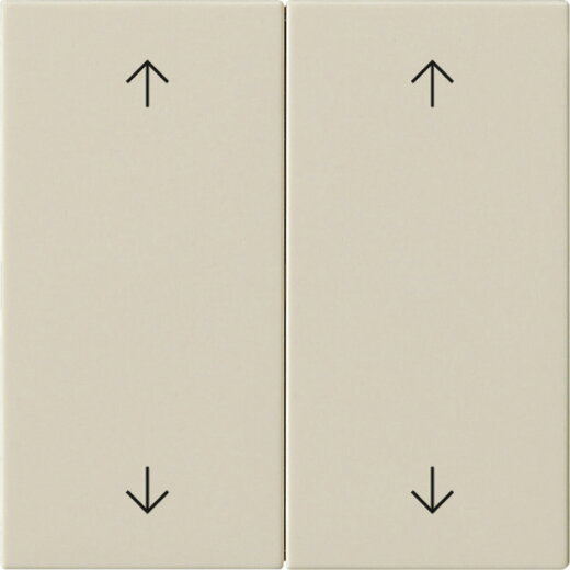 Gira Wippe 2f Pfeile Sys 55 cw