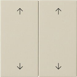 Gira Wippe 2f Pfeile Sys 55 cw