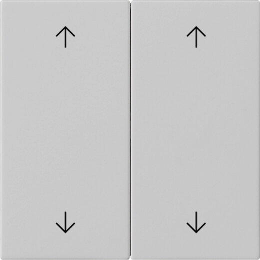 Gira Wippe 2f Pfeile Sys 55 gr m