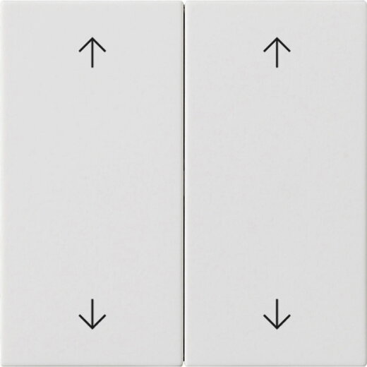 Gira Wippe 2f Pfeile Sys 55 rw m