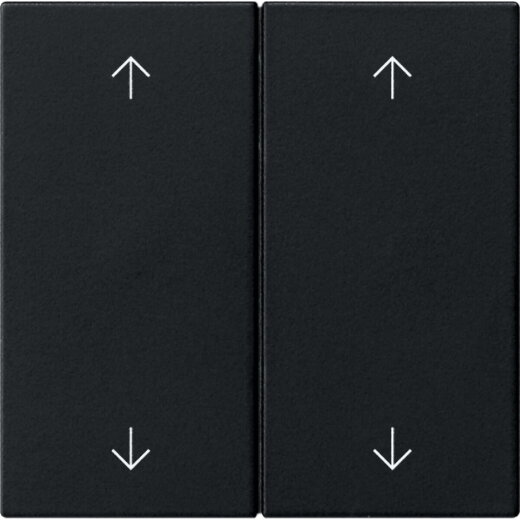 Gira Wippe 2f Pfeile Sys 55 sw m