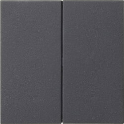 Gira Wippe 2f unbedruckt Sys 55 anthr.