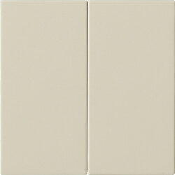 Gira Wippe 2f unbedruckt Sys 55 cw