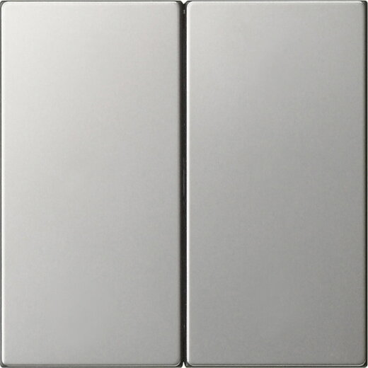 Gira Wippe 2f unbedruckt Sys 55 es