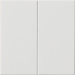 Gira Wippe 2f unbedruckt Sys 55 rw