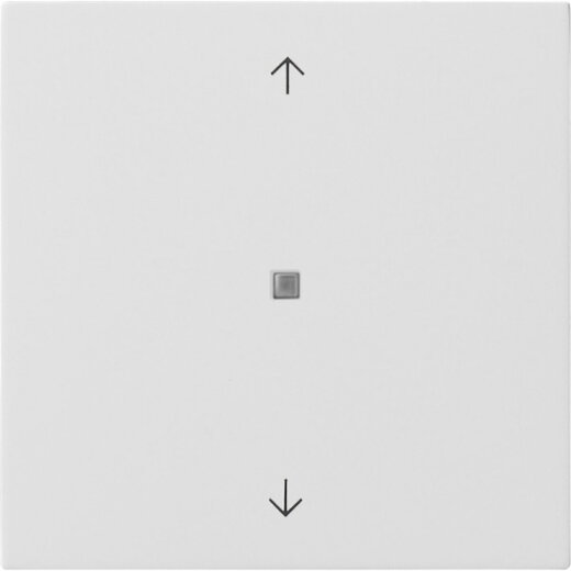 Gira Wippe 5172112 KNX Taster 1f Pfeile Fläche rw