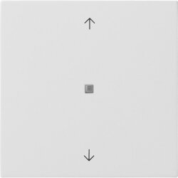 Gira Wippe 5172112 KNX Taster 1f Pfeile Fläche rw