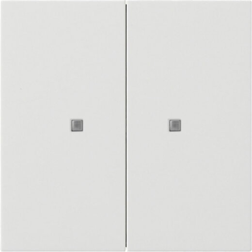Gira Wippe 5173112 KNX Taster 2f Flächenschalter rw
