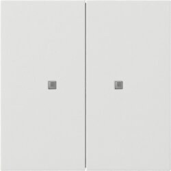 Gira Wippe 5173112 KNX Taster 2f Flächenschalter rw