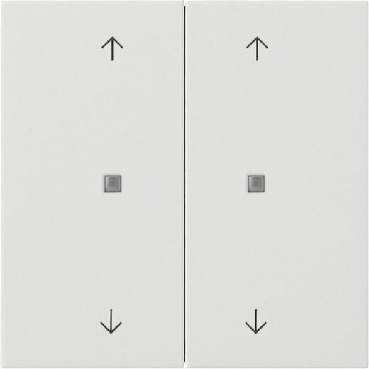 Gira Wippe 5174112 KNX Taster 2f Pfeile Fläche rw