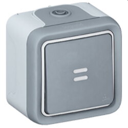 Legrand Wippschalter 69712 1polig FR AP Plexo IP55 grau