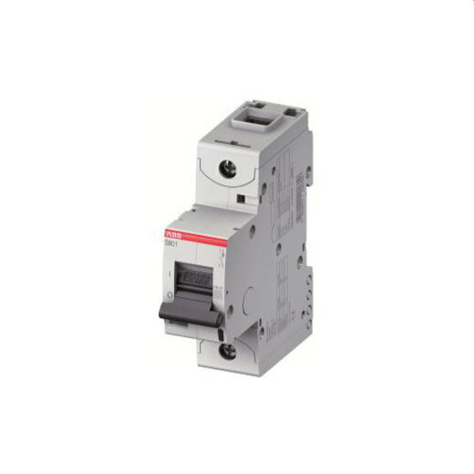 ABB Stotz-Kontakt Hochleistungsleitungsschutzschalter S801N-D25 2CCS891001R0251