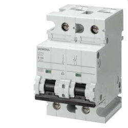 Siemens Leitungsschutzschalter 400V 10kA 2polig D80A...