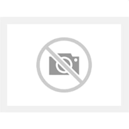 ABB Stotz-Kontakt Neutralpol OSP1250N 1SCA107943R1001