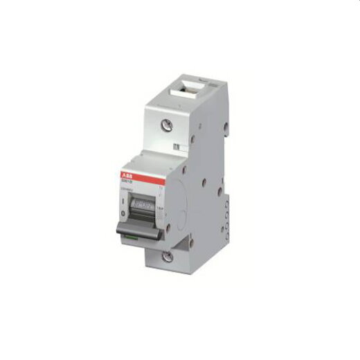 ABB Stotz-Kontakt Hochleistungssicherungsautomat S801B-D32 32A 1polig 2CCS811001R0321