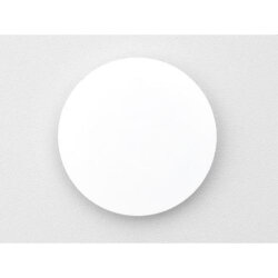 Ritto Scheibe für 1488001 1229795